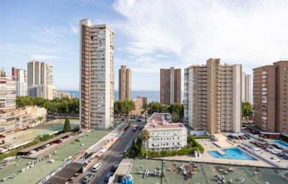 Reventa - Apartamento / piso - Benidorm - Levante