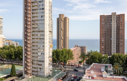 Reventa - Apartamento / piso - Benidorm - Levante