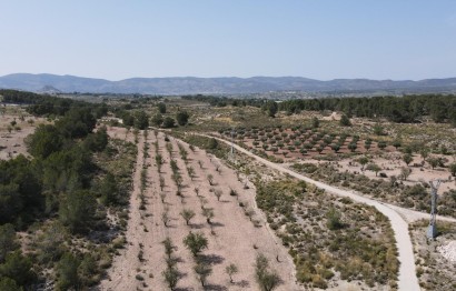 Resale - Plot / Land - Castalla - Castalla Internacional