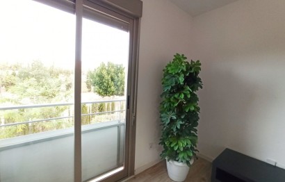 Alquiler a largo plazo - Apartment - Elche - Universidad - Ciudad deportiva