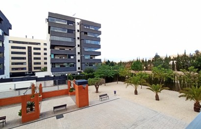 Alquiler a largo plazo - Apartment - Elche - Universidad - Ciudad deportiva