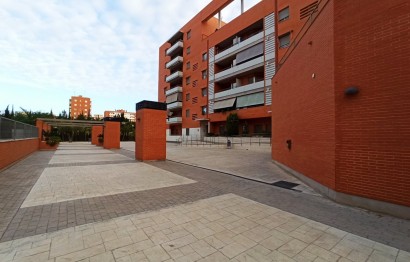 Alquiler a largo plazo - Apartment - Elche - Universidad - Ciudad deportiva