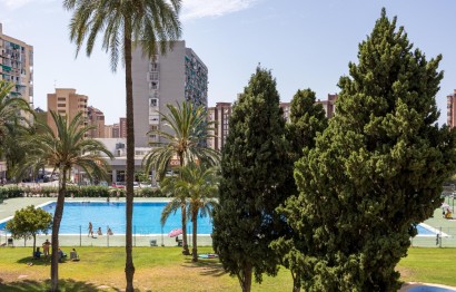 Revente - Appartement - Benidorm - Juzgados