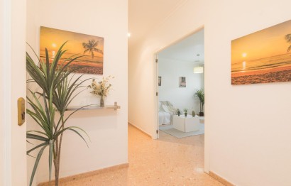 Reventa - Apartamento / piso - Elche - Zona Deportiva-Nuevo Altabix