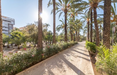 Reventa - Apartamento / piso - Elche - Altabix
