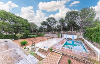Reventa - Villa - Aspe - Ctra de hondon de las nieves
