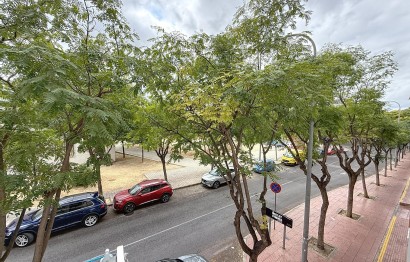 Reventa - Apartamento / piso - San Vicente del Raspeig - Colonia Santa Isabel
