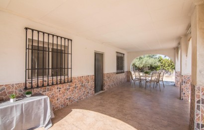 Reventa - Villa - Elche - Elche / Elx