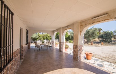 Reventa - Villa - Elche - Elche / Elx