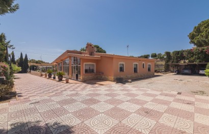 Reventa - Villa - Elche - Elche / Elx