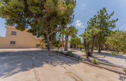 Reventa - Villa - Elche Pedanías - Algoda-Matola-Llano de San José