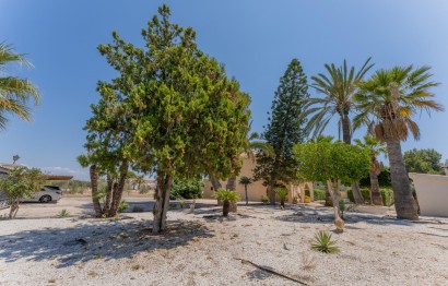Reventa - Villa - Elche Pedanías - Algoda-Matola-Llano de San José