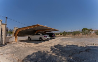 Reventa - Villa - Elche Pedanías - Algoda-Matola-Llano de San José