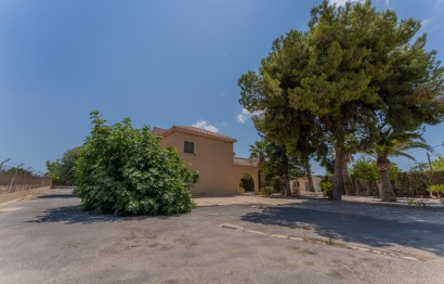 Reventa - Villa - Elche Pedanías - Algoda-Matola-Llano de San José