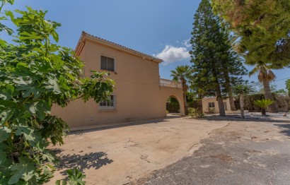 Reventa - Villa - Elche Pedanías - Algoda-Matola-Llano de San José