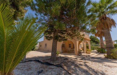 Reventa - Villa - Elche Pedanías - Algoda-Matola-Llano de San José