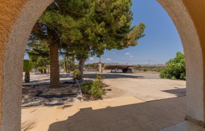 Reventa - Villa - Elche Pedanías - Algoda-Matola-Llano de San José