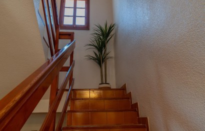 Reventa - Villa - Elche Pedanías - Algoda-Matola-Llano de San José