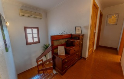 Reventa - Villa - Elche Pedanías - Algoda-Matola-Llano de San José