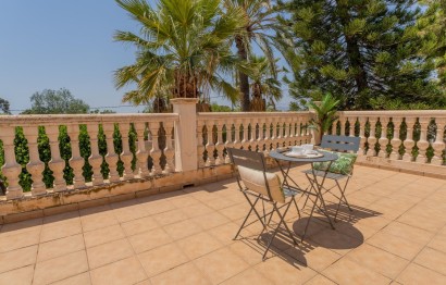 Reventa - Villa - Elche Pedanías - Algoda-Matola-Llano de San José