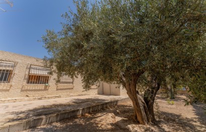 Reventa - Villa - Elche Pedanías - Algoda-Matola-Llano de San José