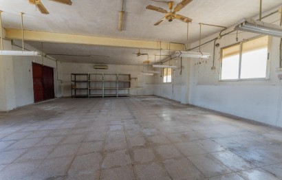 Reventa - Villa - Elche Pedanías - Algoda-Matola-Llano de San José