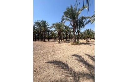 Resale - Plot / Land - Elche Pedanías - Algoda-Matola-Llano de San José