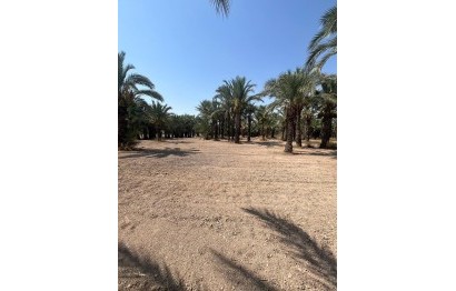 Resale - Plot / Land - Elche Pedanías - Algoda-Matola-Llano de San José