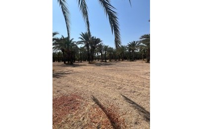 Resale - Plot / Land - Elche Pedanías - Algoda-Matola-Llano de San José