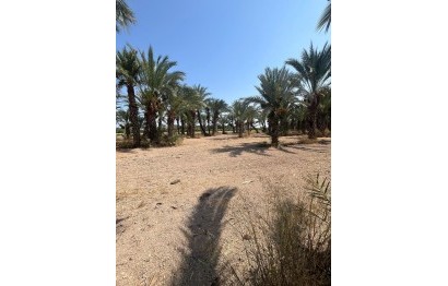 Resale - Plot / Land - Elche Pedanías - Algoda-Matola-Llano de San José
