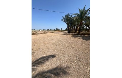 Resale - Plot / Land - Elche Pedanías - Algoda-Matola-Llano de San José