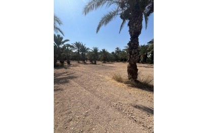Resale - Plot / Land - Elche Pedanías - Algoda-Matola-Llano de San José