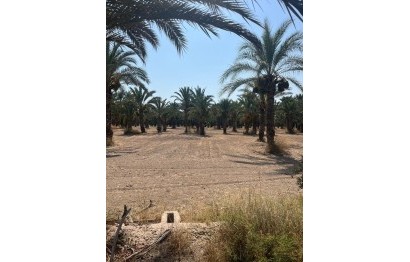 Resale - Plot / Land - Elche Pedanías - Algoda-Matola-Llano de San José