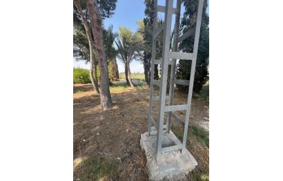 Resale - Plot / Land - Elche Pedanías - Algoda-Matola-Llano de San José