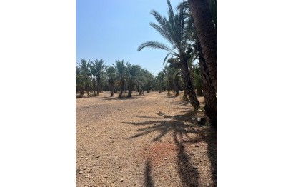 Resale - Plot / Land - Elche Pedanías - Algoda-Matola-Llano de San José