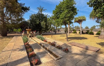 Reventa - Villa - Elche Pedanías - Alzabares