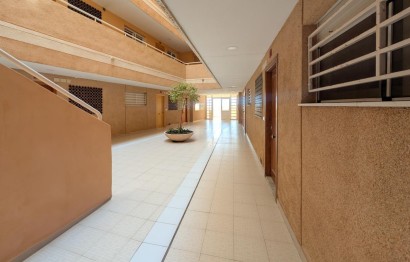 Revente - Appartement - Elche - Playa arenales del sol