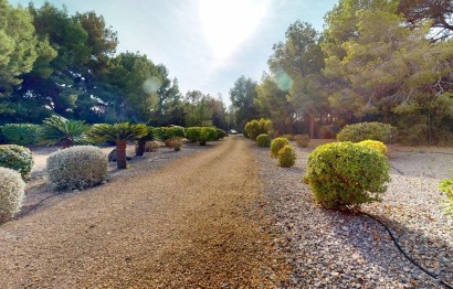 Revente - Ville - l'Alfas del Pi - Colonia Escandinavia-Cautivador