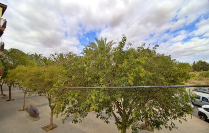 Revente - Appartement - Elche - San Crispín