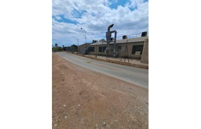 Reventa - Comercial - Elche Pedanías - Algoros