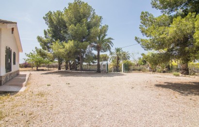 Resale - house - Elche - La Galia-Bonavista
