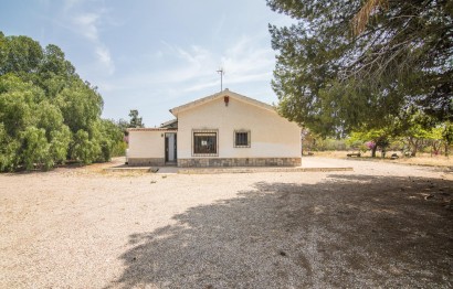 Resale - house - Elche - La Galia-Bonavista