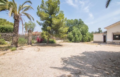 Resale - house - Elche - La Galia-Bonavista