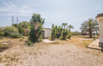 Resale - house - Elche - La Galia-Bonavista