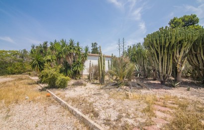 Resale - house - Elche - La Galia-Bonavista