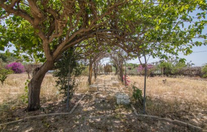 Resale - house - Elche - La Galia-Bonavista