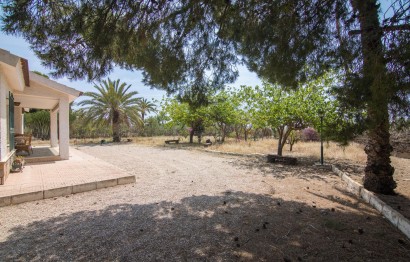 Resale - house - Elche - La Galia-Bonavista