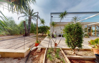 Reventa - Villa - Elche Pedanías - Las Bayas-Asprillas