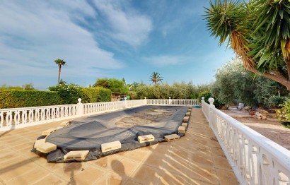 Reventa - Villa - Elche Pedanías - Las Bayas-Asprillas