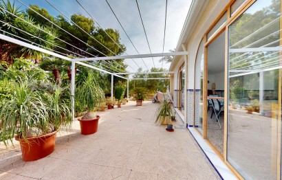 Reventa - Villa - Elche Pedanías - Las Bayas-Asprillas